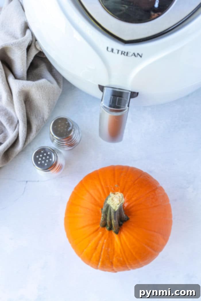 Air Fryer Roasted Pumpkin 4 PUMPKIN AIR FRYER