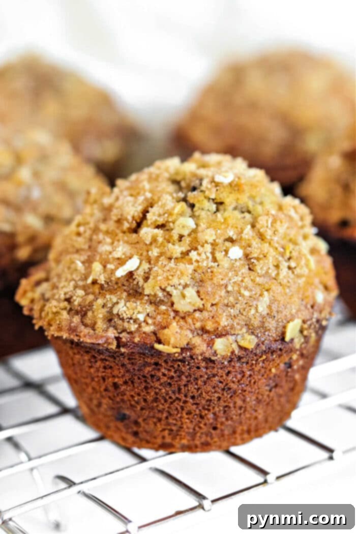 Wholesome Oatmeal Raisin Delights 2 Oatmeal Raisin Muffins - Golden brown, fluffy muffins studded with raisins and a hint of oat texture, cooling on a rack.
