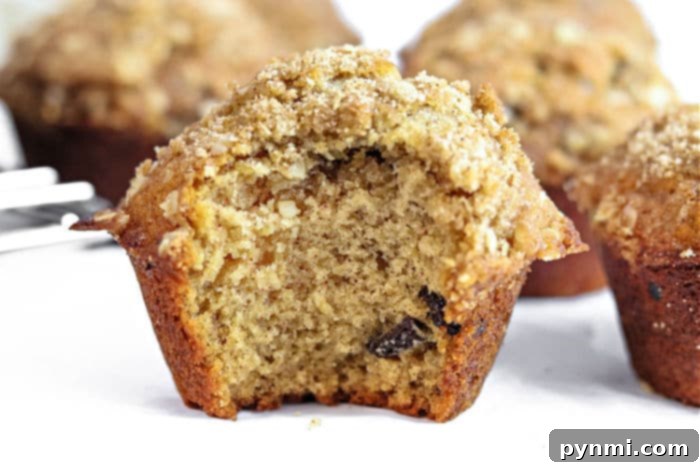 Wholesome Oatmeal Raisin Delights 7 A top-down view of several oatmeal raisin muffins in a basket, with a focus on their textured, oat-studded tops.