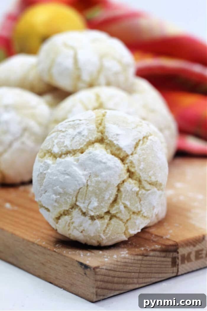 Delightful Homemade Lemon Crinkle Cookies with Powdered Sugar