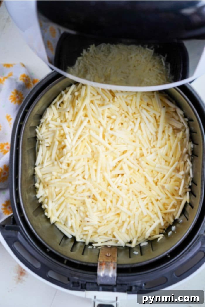 hash browns in air fryer