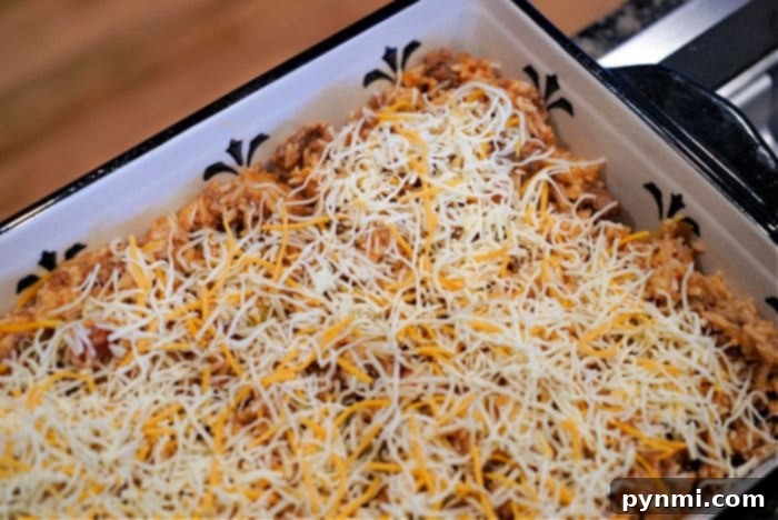 A full baking dish of ground beef casserole with a golden, melted cheese topping, fresh from the oven.