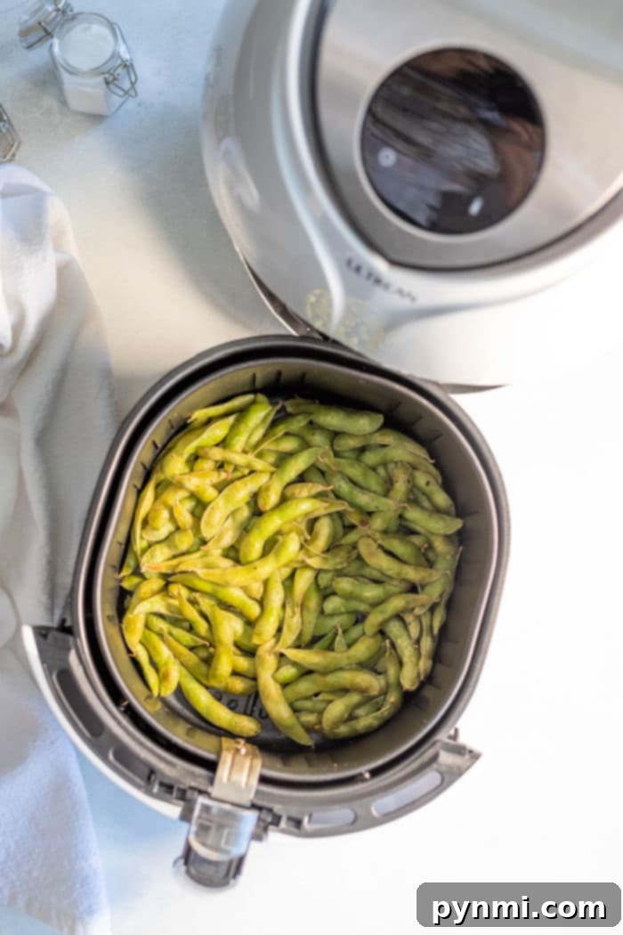 Crispy Air-Fried Edamame 4 An air fryer is the perfect tool for effortlessly cooking edamame beans to perfection. The basket is filled with tender, green delights, offering a healthy and delicious treat thats quick and easy to prepare.