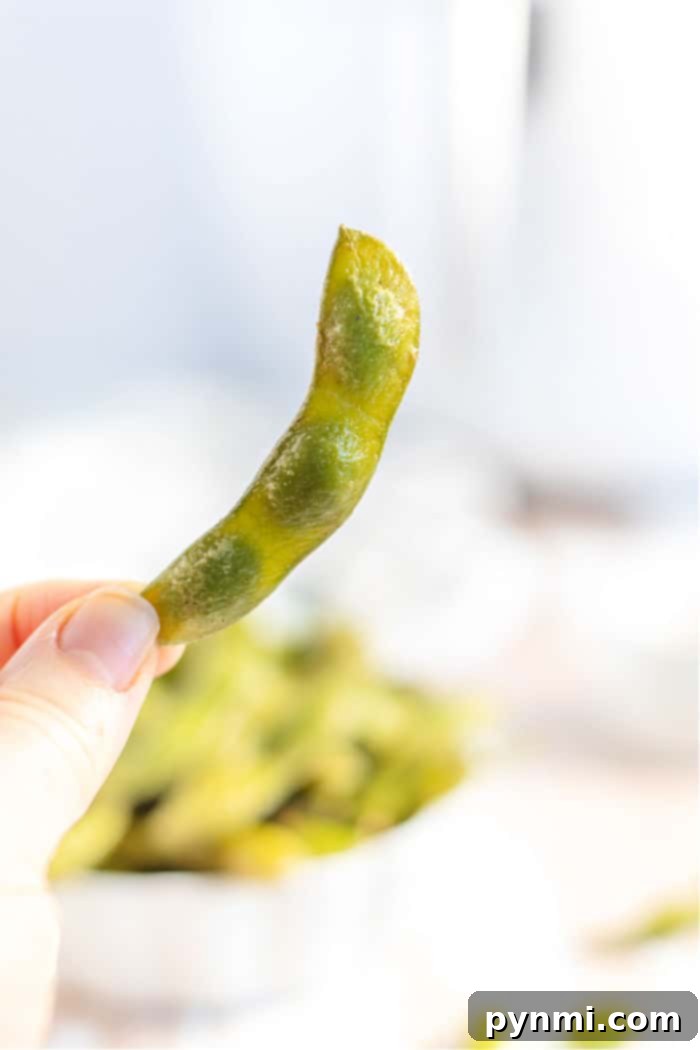 Crispy Air-Fried Edamame 6 A hand holds a pod of fresh green edamame, perfect for preparing air fryer edamame, against a softly blurred background.