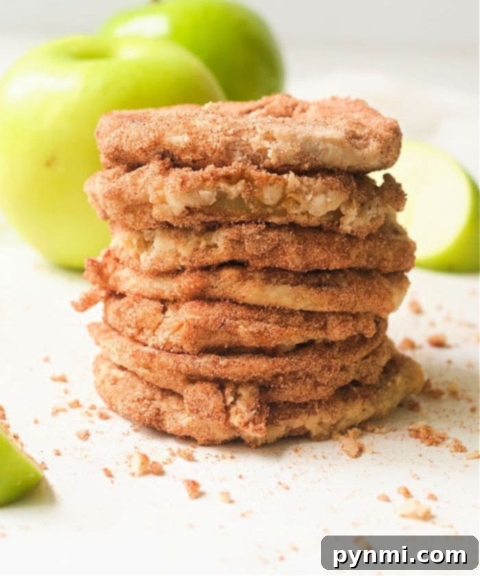Perfectly air-fried apple slices arranged in an air fryer basket, showcasing a golden and slightly caramelized finish. Ideal for a quick and healthy snack.