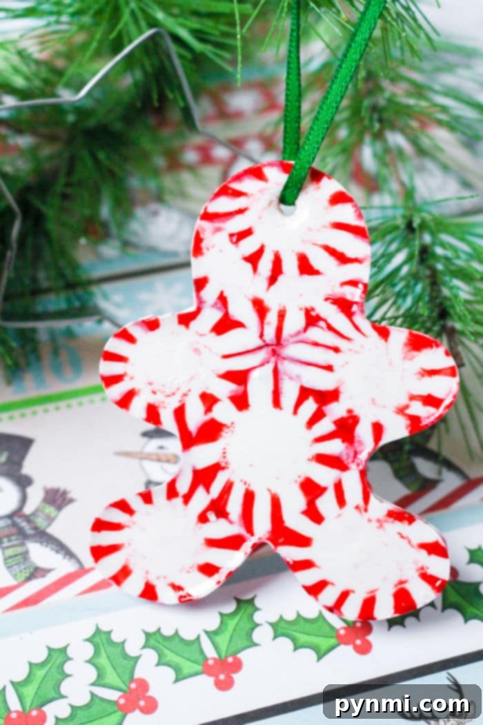 Peppermint's Sweet Dissolve 2 A Christmas ornament shaped like a gingerbread man is made from red and white peppermint candies, creating a whimsical, melting peppermint candy effect. It hangs by a green ribbon, with green pine branches in the background and holly designs on paper beneath it.