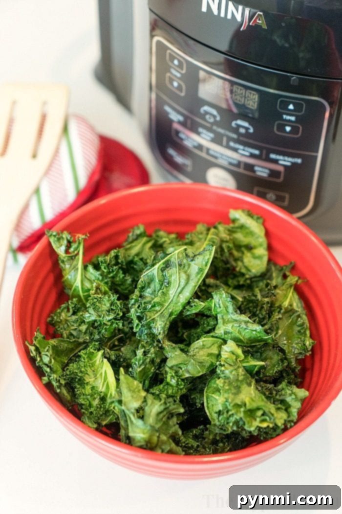 Crispy Ninja Foodi Kale Chips, a healthy air fryer snack.