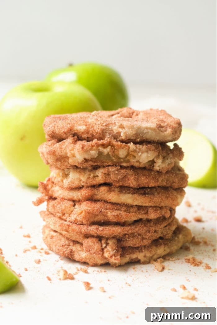 Delicious Air Fryer Apple Fries, a sweet and healthy snack option.