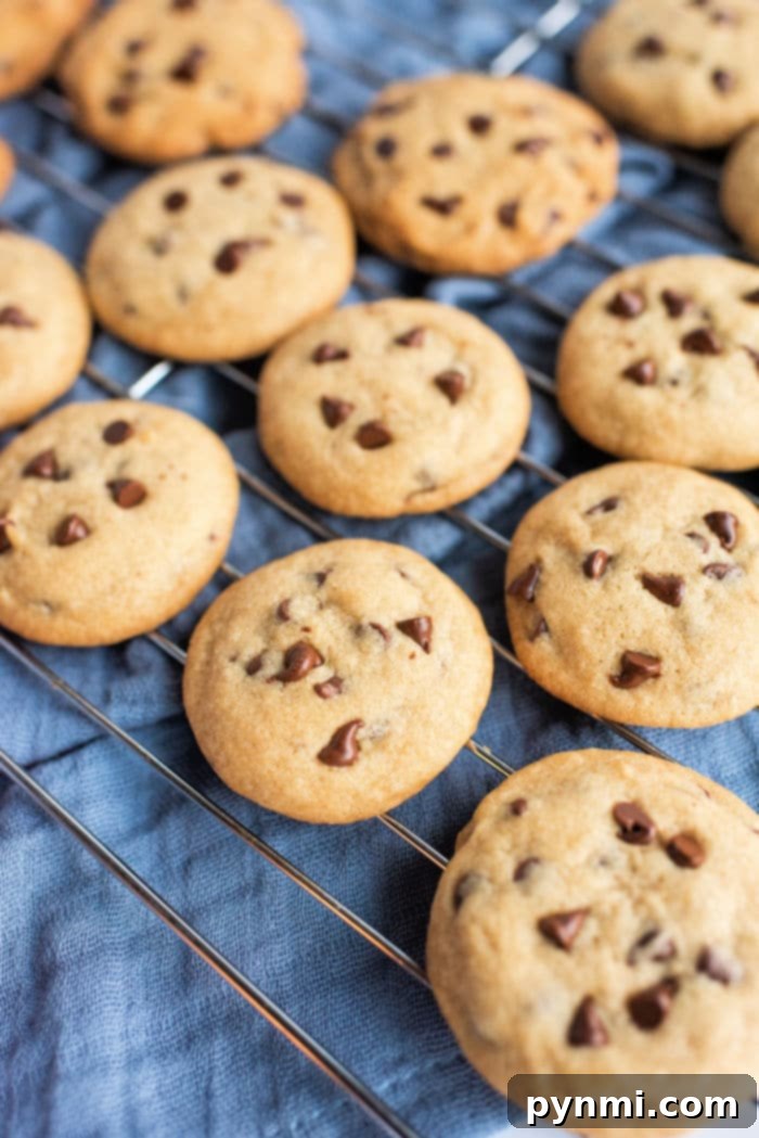 The Essentials for Amazing Chocolate Chip Cookies 2 Deliciously simple chocolate chip cookies, golden brown and ready to eat.