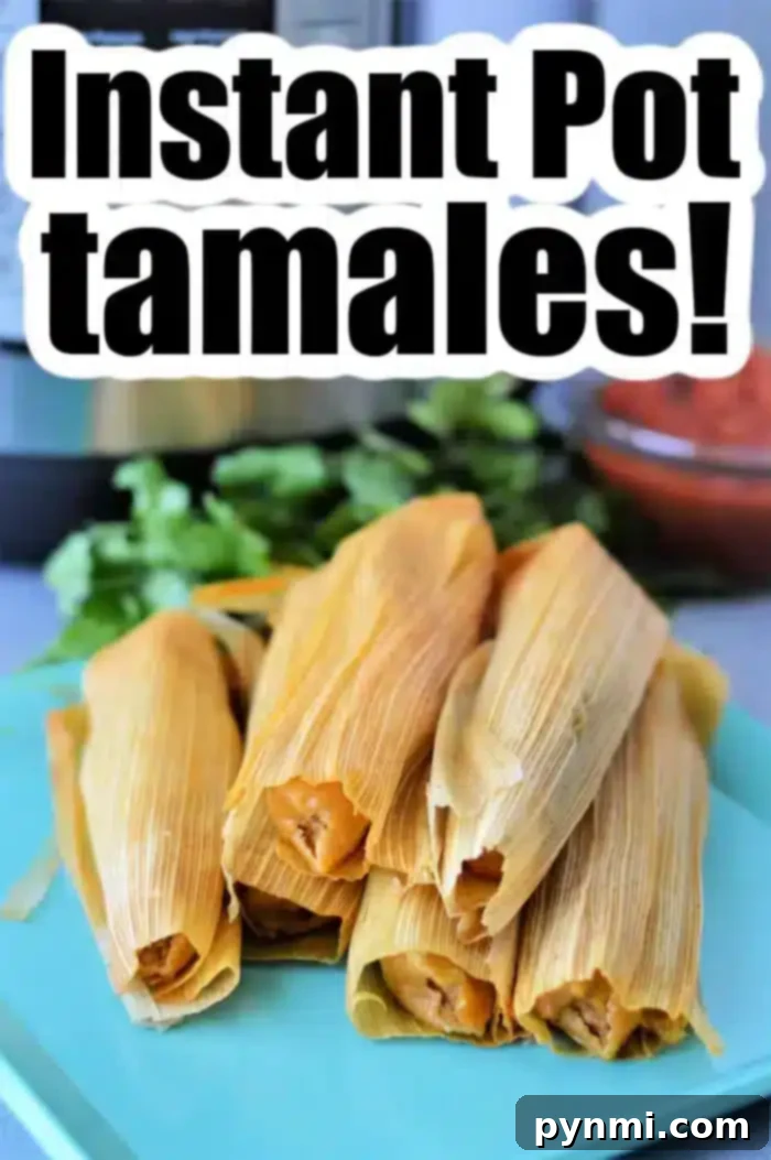 Perfect Instant Pot Tamales Every Time 10 How to Reheat Tamales in the Instant Pot