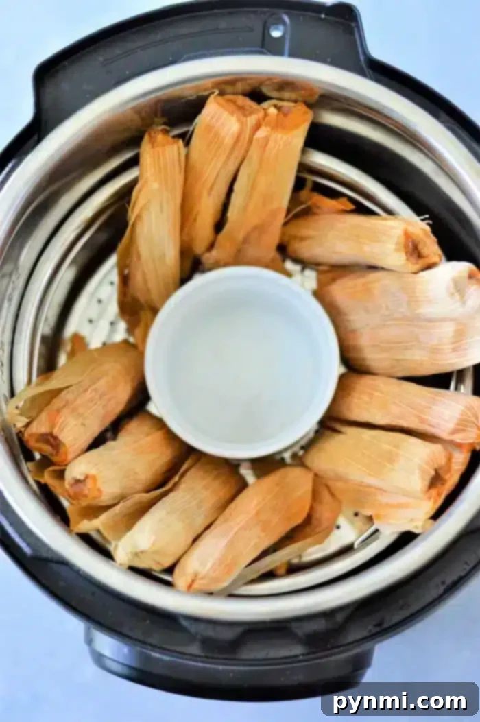 Perfect Instant Pot Tamales Every Time 6 A circular arrangement of tamales with corn husks is expertly placed to steam in the Instant Pot, encircling an empty white cup in the center. The metal interior of the pot gleams, ready for a savory transformation.