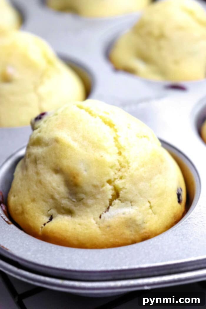 A vibrant display of healthy cranberry muffins, showing their golden tops and festive red berries, perfectly baked and ready to enjoy.