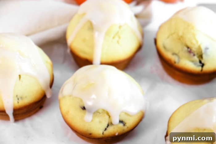 A close-up shot of a muffin with a delicate, white glaze drizzled over its golden-brown top, suggesting an added touch of sweetness.