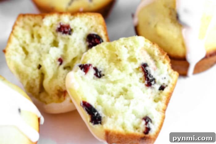 An inviting overhead view of several fluffy Orange Muffins, showcasing their perfectly domed tops and a hint of orange zest.