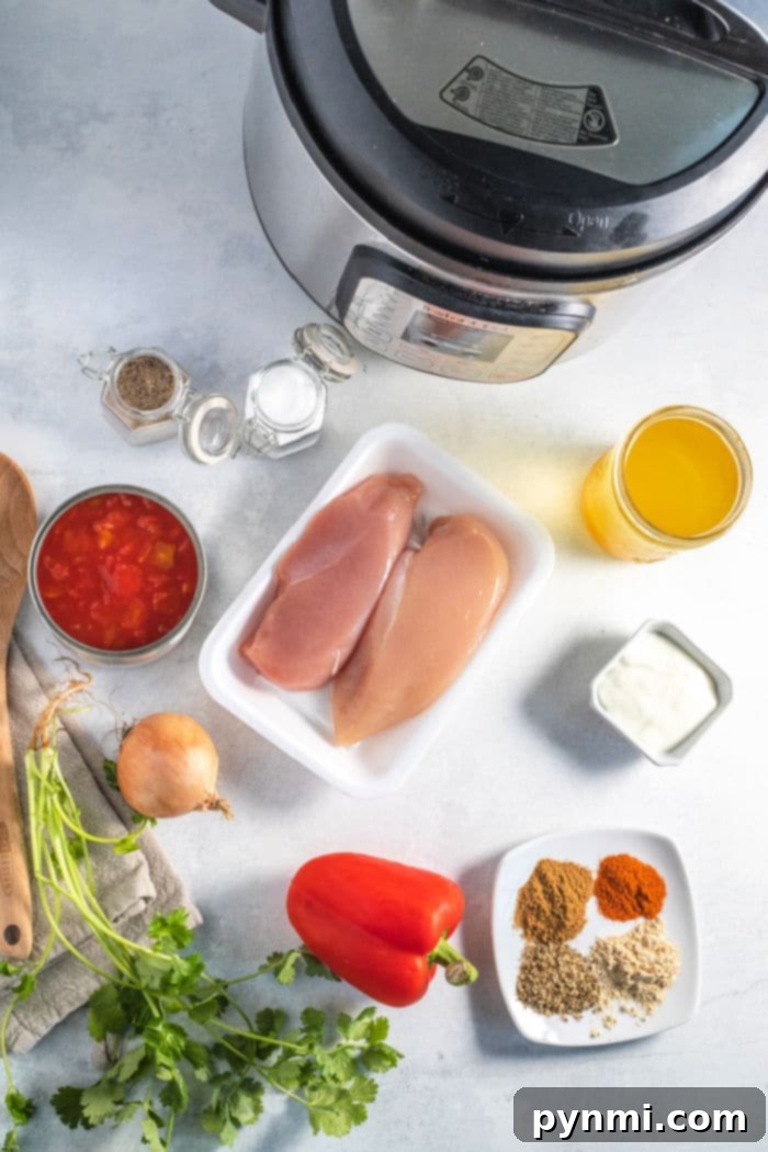 A vibrant bowl of Instant Pot Fajita Soup, showcasing tender chicken, colorful vegetables, and a rich broth, ready to be enjoyed.