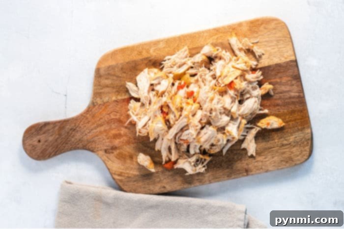 Close-up of shredded chicken in a rich, spiced broth, highlighting the tender texture and inviting aroma of the fajita soup base.