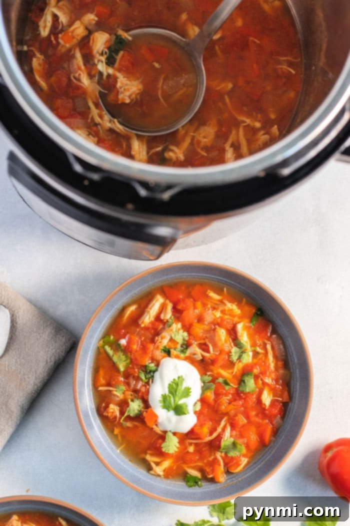 A bowl of Ninja Foodi Fajita Soup, garnished with fresh herbs and a hint of spice, ready to be enjoyed as a hearty meal.