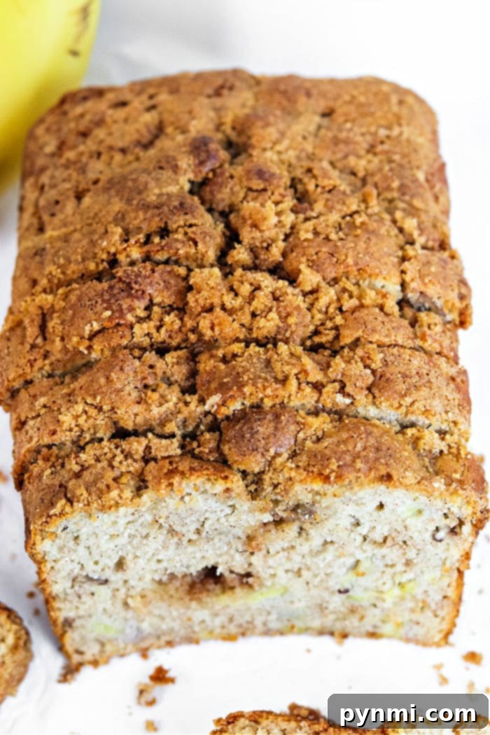 Effortless Bisquick Banana Bread 2 Bisquick Banana Bread Recipe with golden-brown streusel, a perfectly baked loaf ready to be enjoyed.