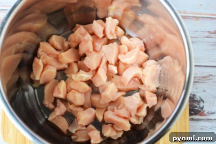 chicken in instant pot