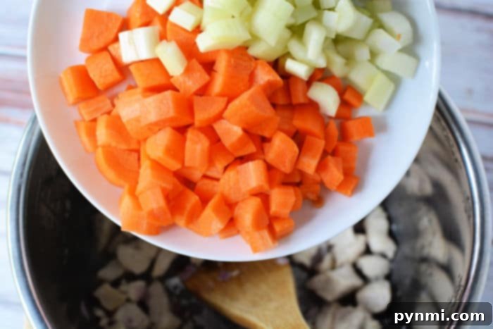 Instant Pot Vegetable Soup