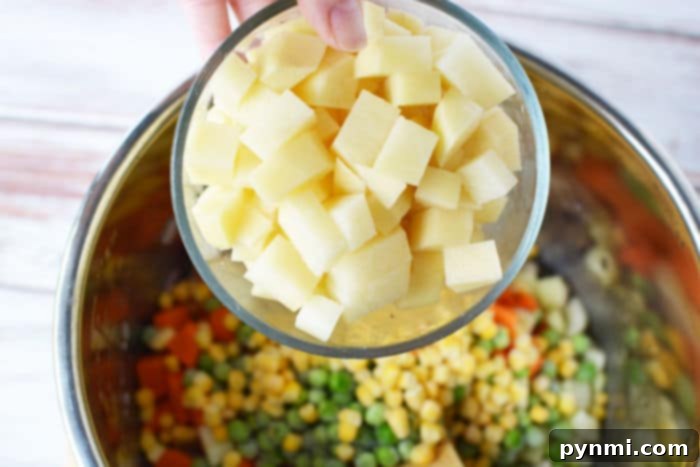 Vegetable Soup