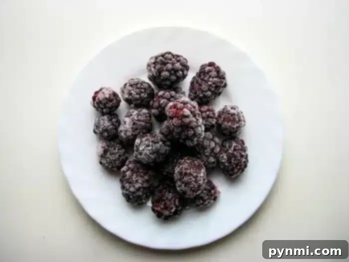 Effortless 5-Ingredient Bisquick Blackberry Cobbler 4 A white plate containing a small pile of frozen blackberries, perfect for crafting a delightful blackberry cobbler, is centered on a light background.