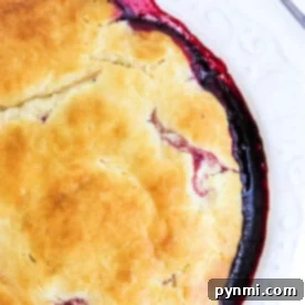 Effortless 5-Ingredient Bisquick Blackberry Cobbler 8 Close-up of a Bisquick blackberry cobbler with a golden crust and berry filling oozing at the edges, placed on a white plate.