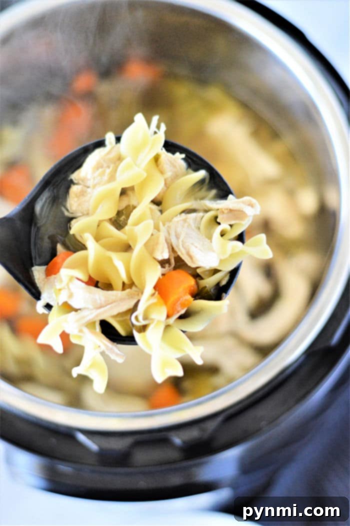 Instant Pot Frozen Chicken noodle soup