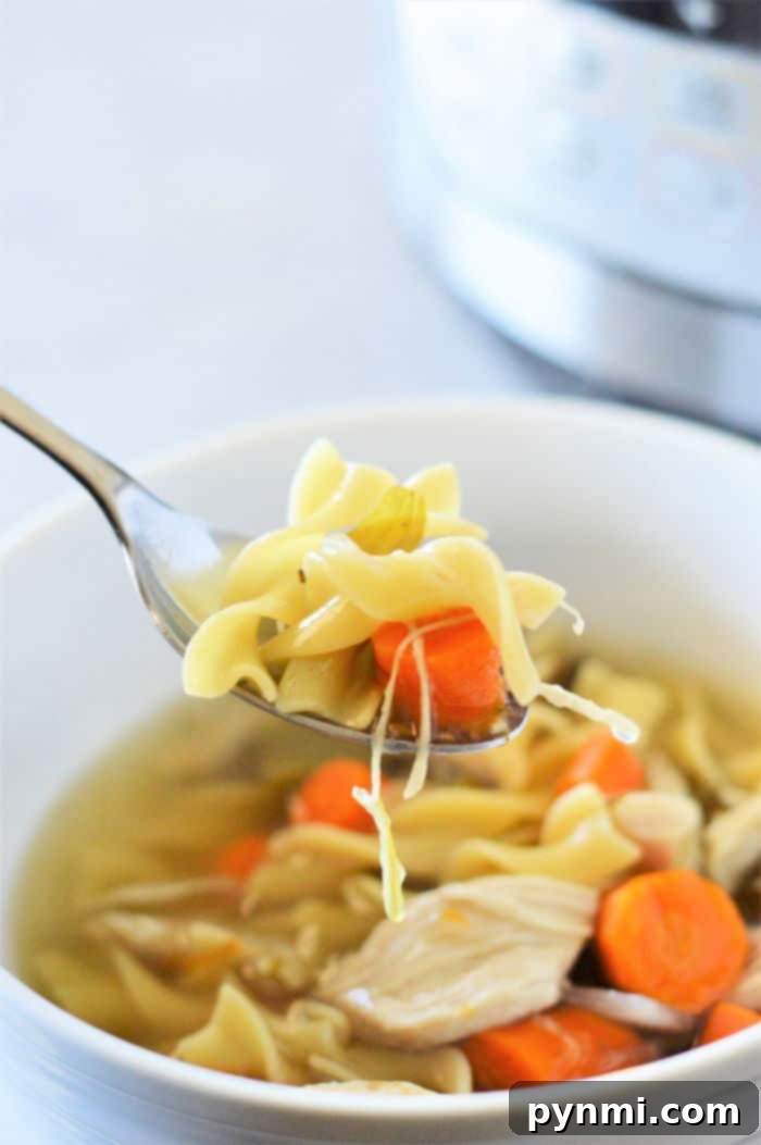 Instant Pot Chicken Noodle Soup with Frozen Chicken