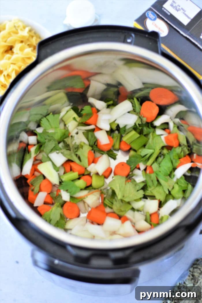 instant pot soup