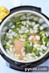 frozen chicken, chopped onions, and celery in water inside an Instant Pot—perfect for starting instant pot chicken noodle soup with frozen chicken.