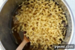 A pot of uncooked egg noodles with a wooden spoon rests in a savory broth, ready to transform into a comforting dish. Perfect for whipping up quick beef and noodles in your Instant Pot for an effortless meal bursting with flavor.