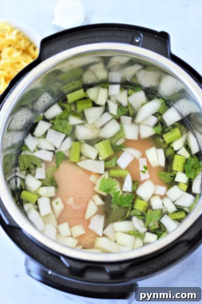 pressure cooker Chicken Noodle Soup with Frozen Chicken