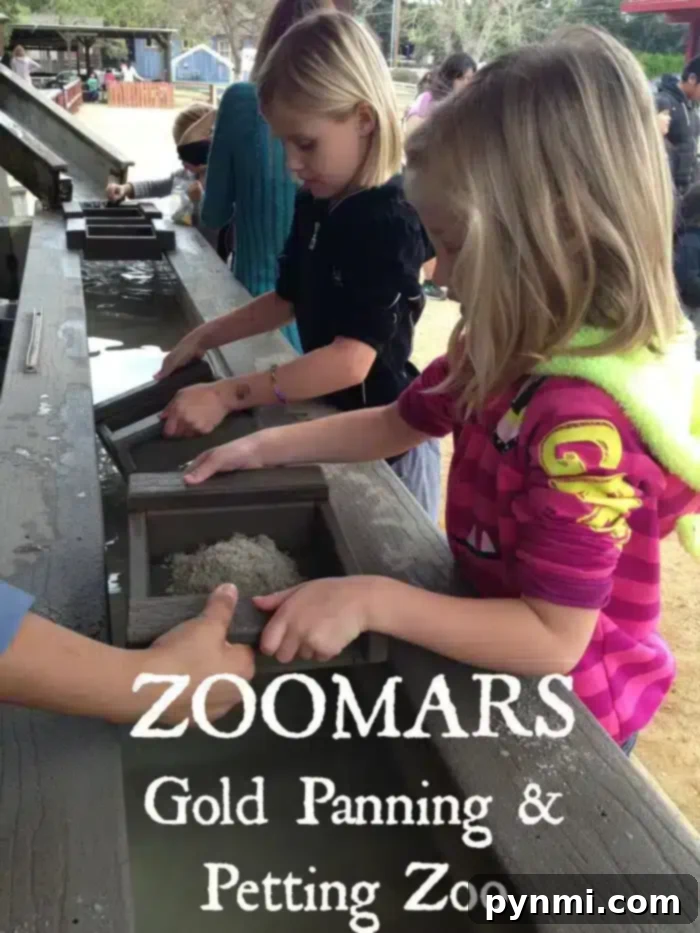 Zoomars Petting Zoo Uncovered 2 Families enjoying the vibrant atmosphere at Zoomars Petting Zoo in San Juan Capistrano, featuring a petting area and various activities.
