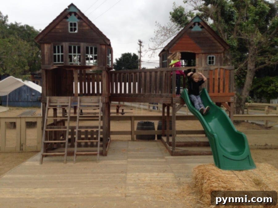 Zoomars Petting Zoo Uncovered 4 A child happily riding a pony with a trainer at Zoomars Petting Zoo.