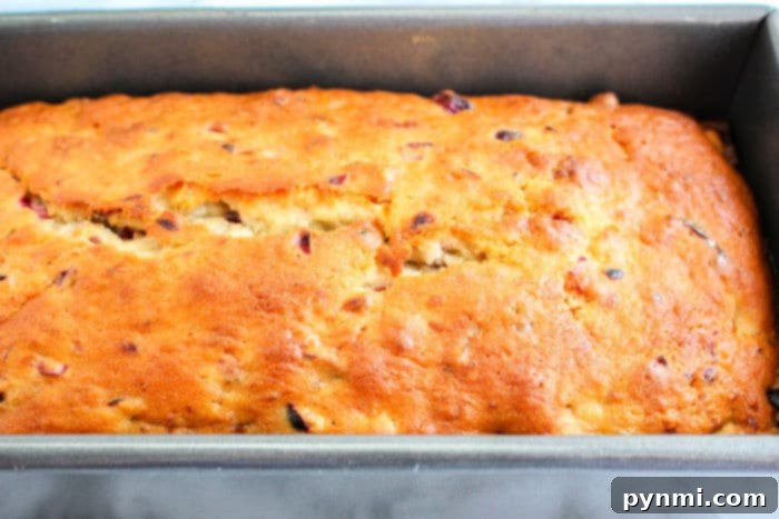 A golden loaf of cranberry bread featuring visible banana chunks, surrounded by fresh cranberries, suggesting a delightful and rustic homemade treat.