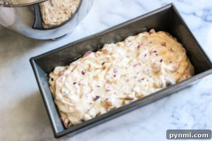 A simple yet enticing image of Cranberry Bread, showcasing its rustic crust and inviting texture.