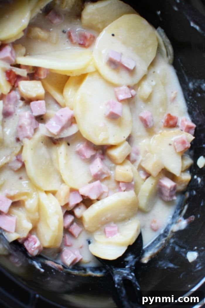 slow cooker Ham and Potatoes