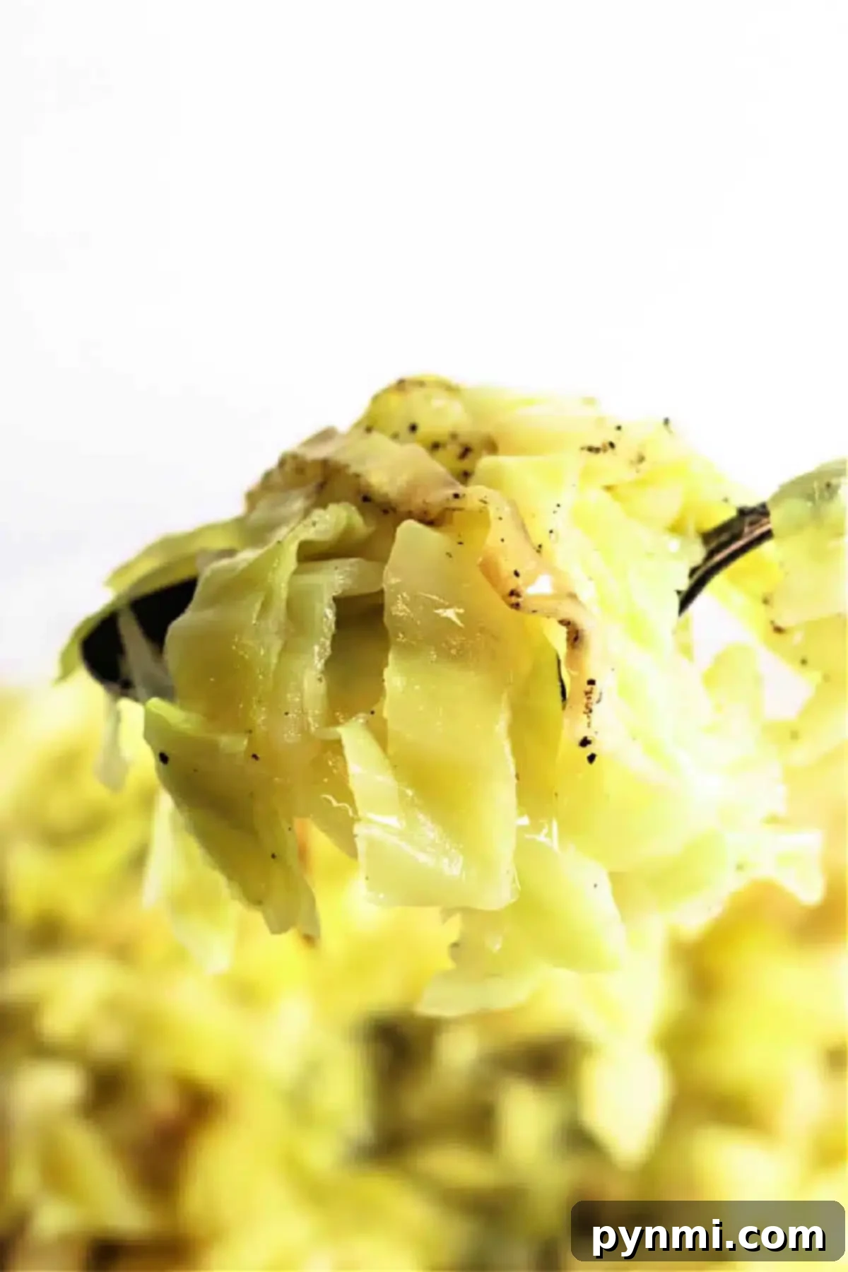 Savory Slow Cooker Cabbage 2 A fork holds a portion of slow cooker cabbage seasoned with black pepper. The light green cabbage appears soft and tender, with a focus on the fork and cabbage in the foreground against a blurred background.