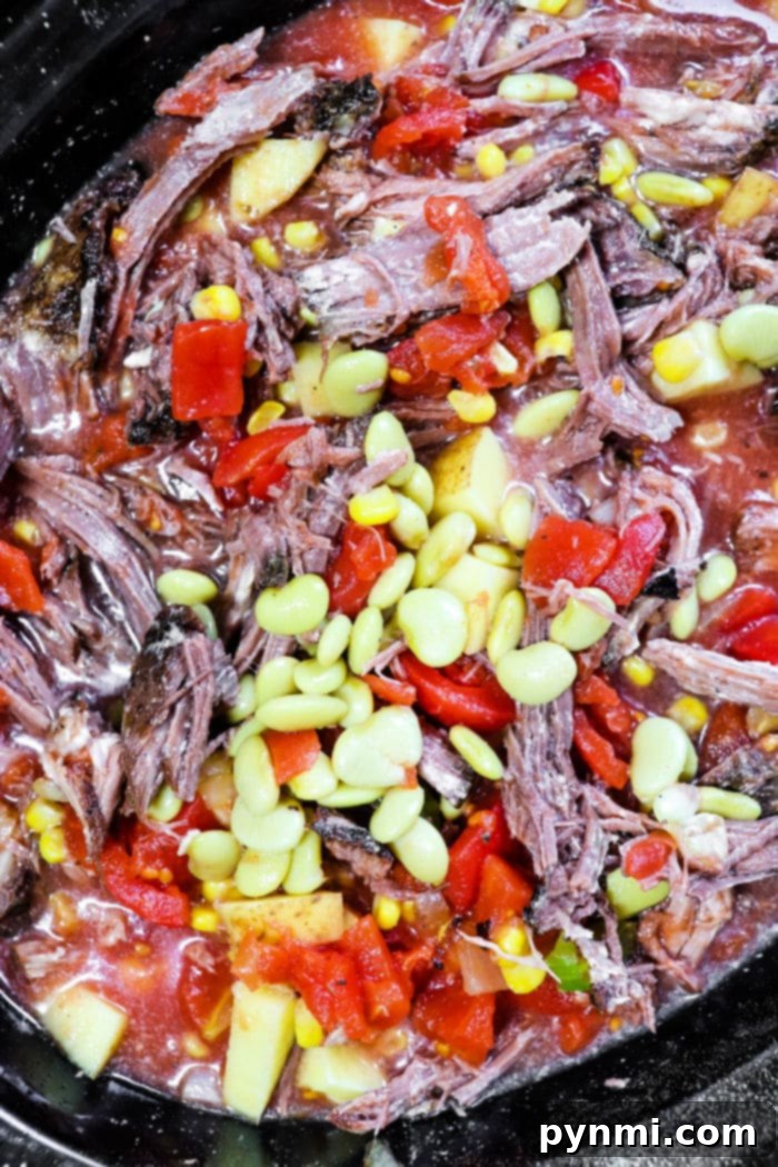 Soul-Soothing Slow Cooker Brunswick Stew 8 A hearty bowl of beef stew cooked in a Crockpot, showcasing tender beef, potatoes, and other vegetables.