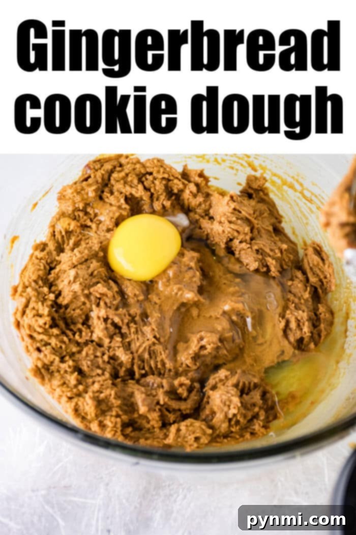 Gingerbread Dough