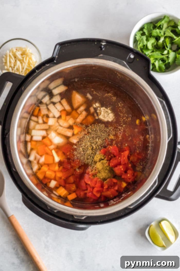 Hearty Instant Pot Vegetarian Bowls 3 Hearty Instant Pot vegetarian soup with mixed vegetables and beans