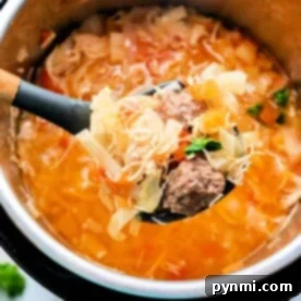 A spoonful of hearty, old-fashioned cabbage soup with tender meatballs and fresh vegetables simmering in a pot.