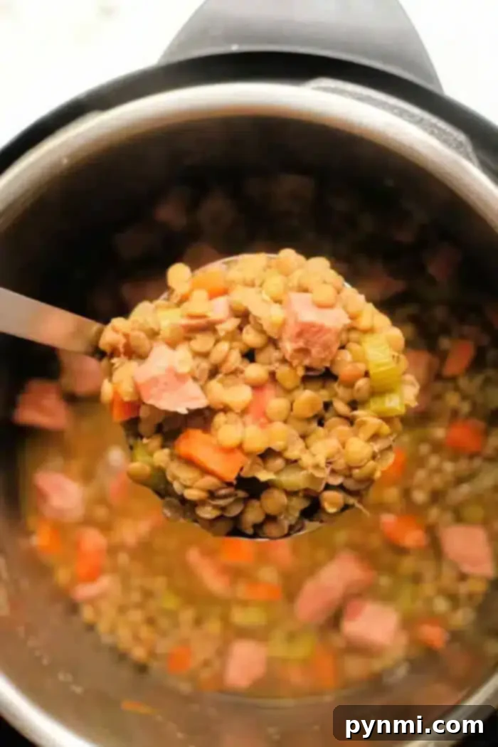 Cozy Instant Pot Ham and Lentil Stew 2 A ladle holds a serving of lentil soup with ham, showcasing visible chunks of meat, carrots, and celery, above a pot brimming with more soup. The contents display a delightful mix of earthy and colorful ingredients.