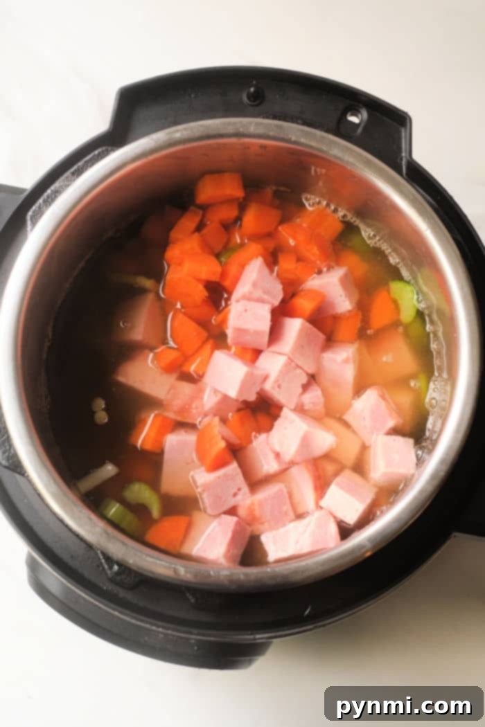 Cozy Instant Pot Ham and Lentil Stew 5 instant pot Lentil Soup