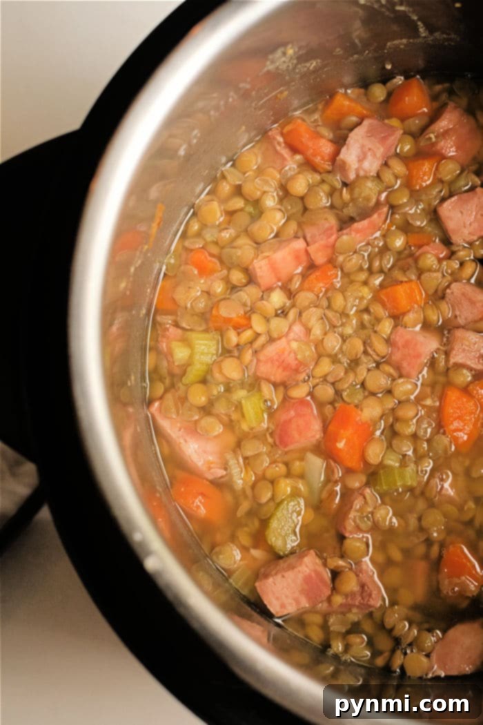 Cozy Instant Pot Ham and Lentil Stew 6 pressure cooker Lentil Soup with Ham