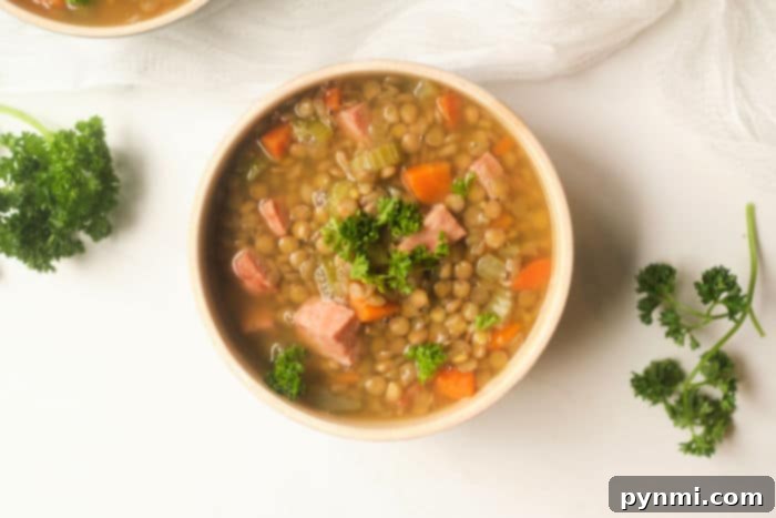 Cozy Instant Pot Ham and Lentil Stew 7 Lentil Soup