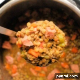 Cozy Instant Pot Ham and Lentil Stew 8 Lentil-Soup-with-Ham