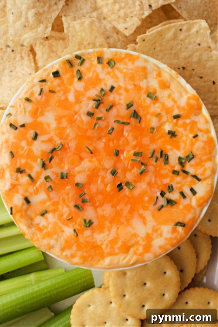 A vibrant, cheesy Buffalo chicken dip, freshly prepared in an Instant Pot, is garnished with freshly chopped chives. It is artfully arranged with a generous serving of crispy tortilla chips, crunchy celery sticks, and delicate round crackers, showcasing its perfect texture and color.