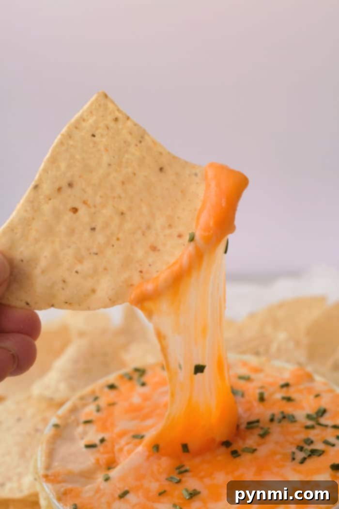 A crispy tortilla chip, generously coated in gooey, melted cheese and sprinkled with fresh chives, is poised to scoop up a rich spoonful of homemade Buffalo chicken dip from the Instant Pot. The background shows an array of untouched, golden chips.